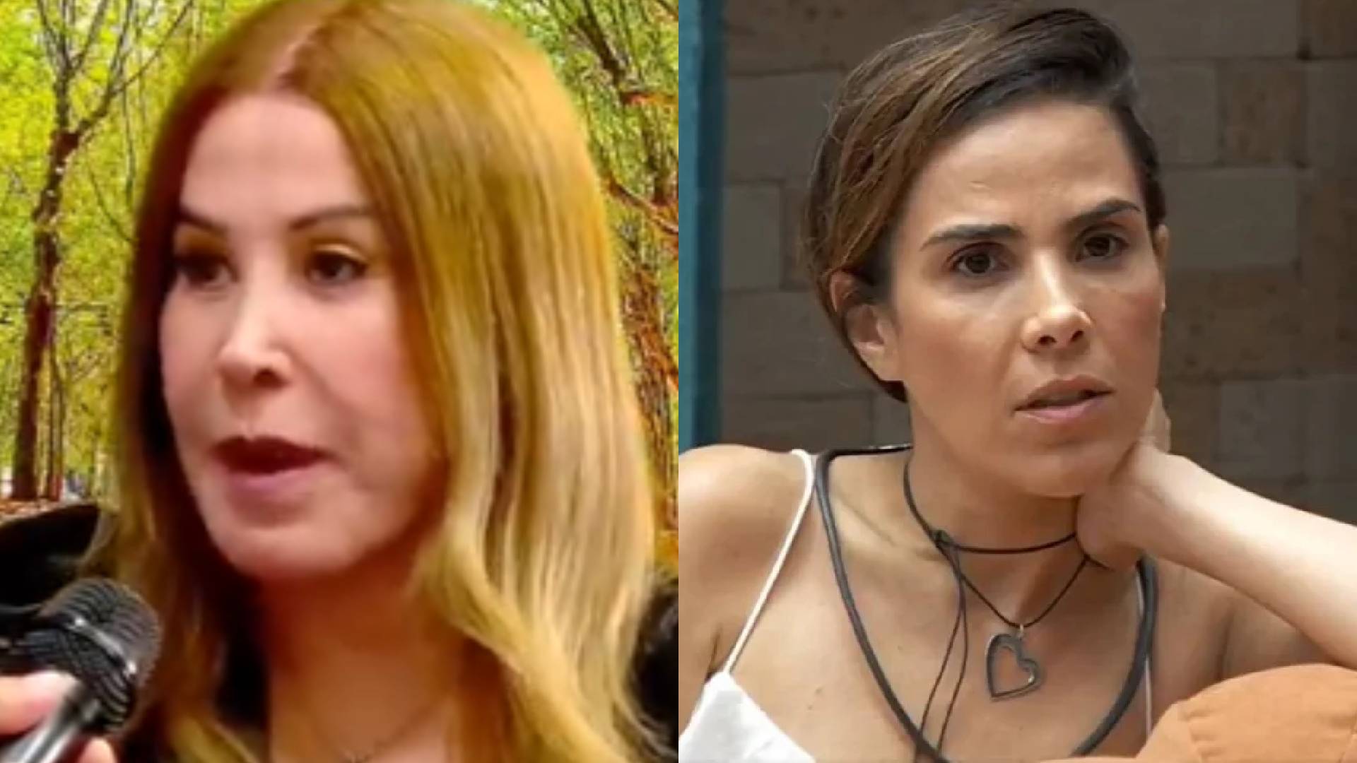 Zilu Camargo expõe decepção com postura de Wanessa no BBB 24: “Fico triste”