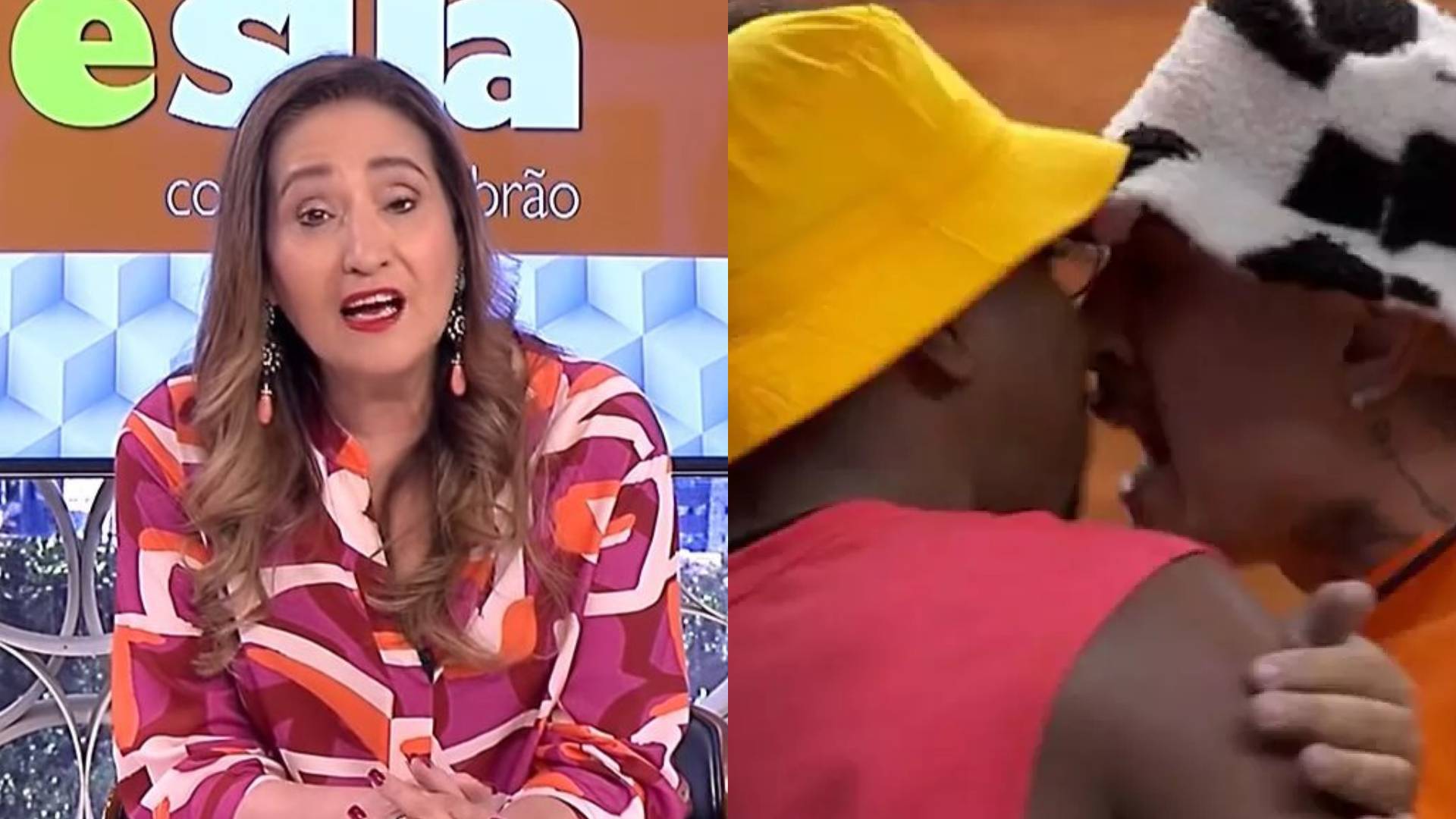 Sonia Abrão detona BBB 24 após briga com quase agressão: “Virar A Fazenda”