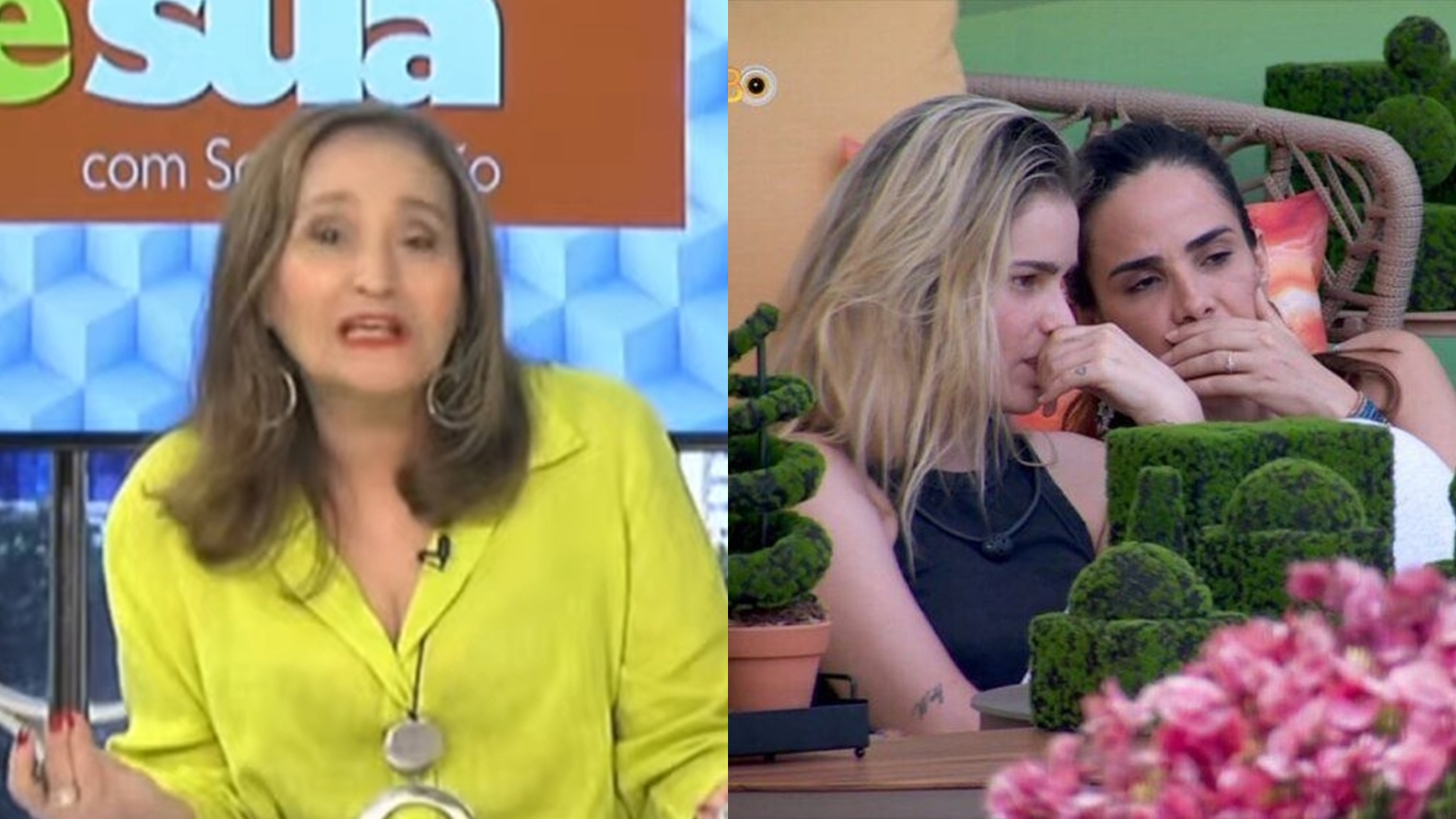 BBB24: Sonia Abrão reage a distanciamento de Yasmin e Wanessa: “Saindo faíscas”