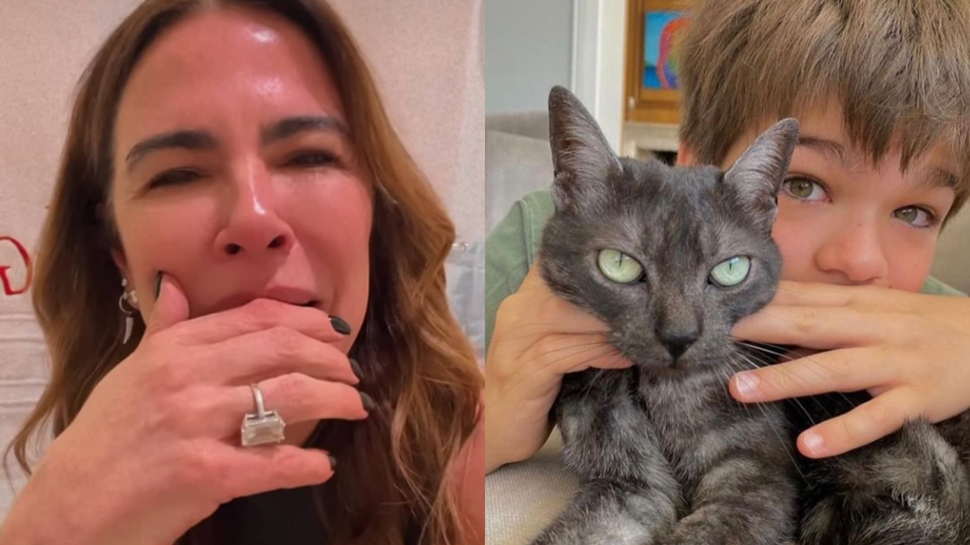 Luciana Gimenez chora com morte de sua gata: “Ficou doente e morreu em 24 horas”