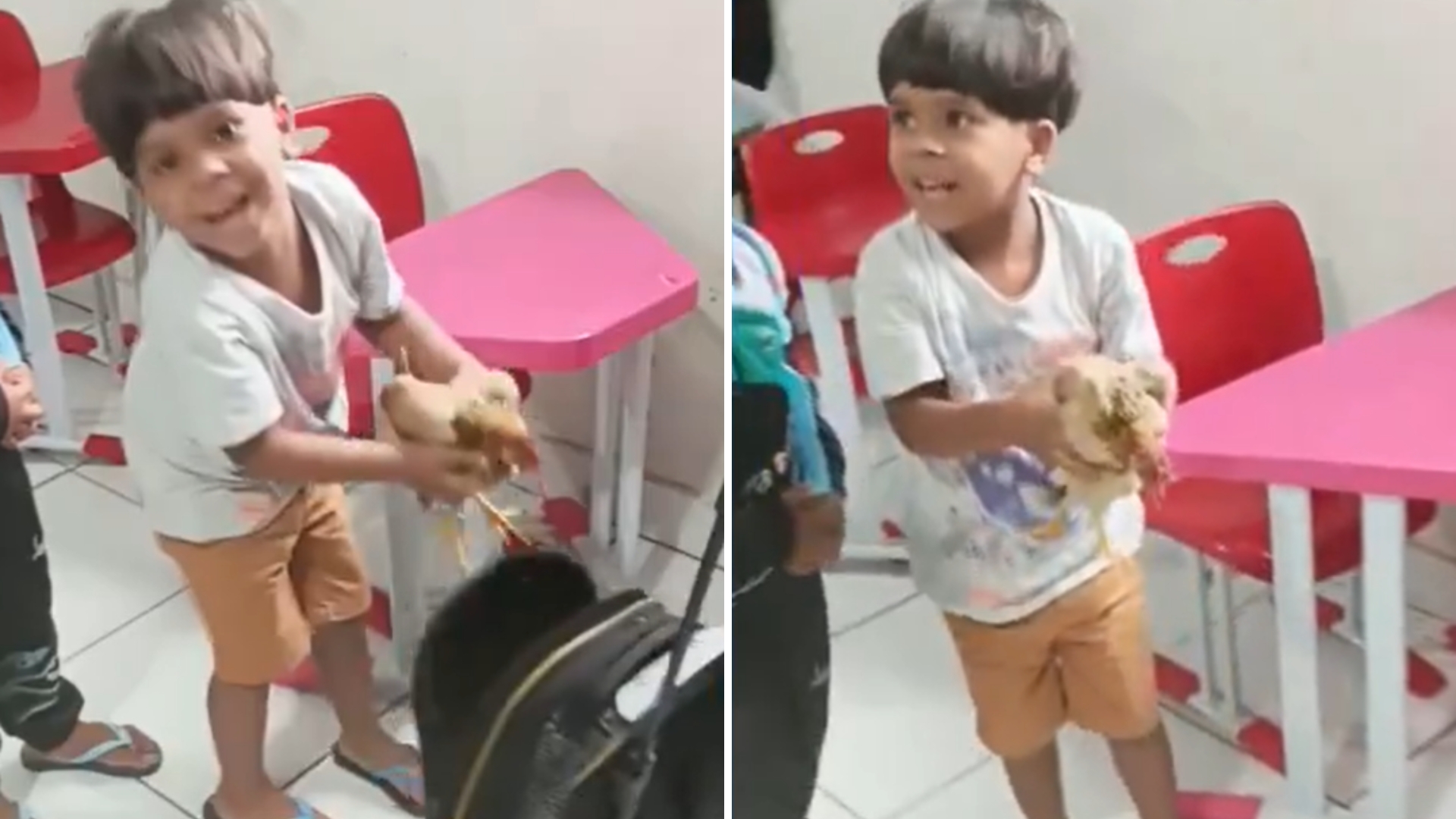 Menino leva galinha de estimação para a escola: “Fiquei sem acreditar”
