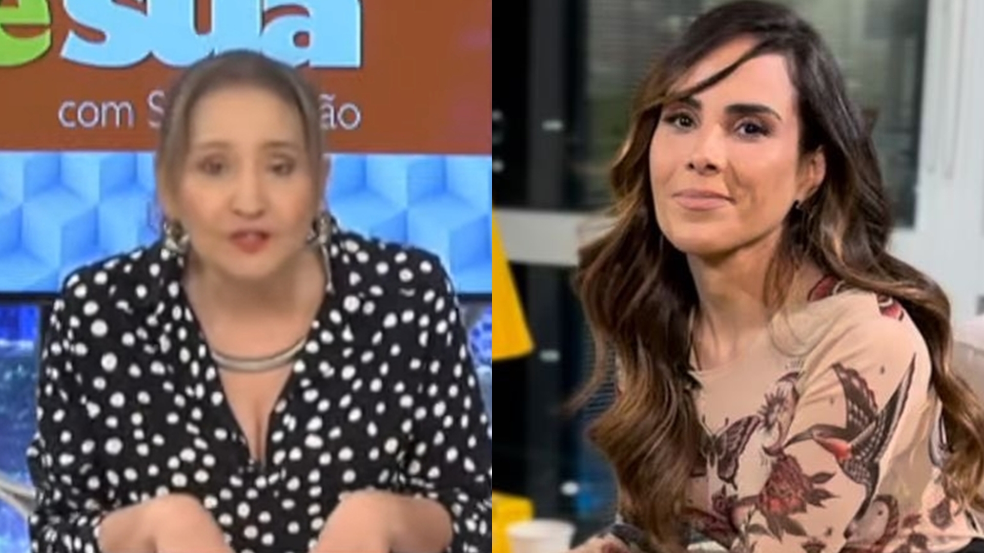 Sonia Abrão ataca Wanessa após entrevista polêmica na Globo: “Extremamente babaca”