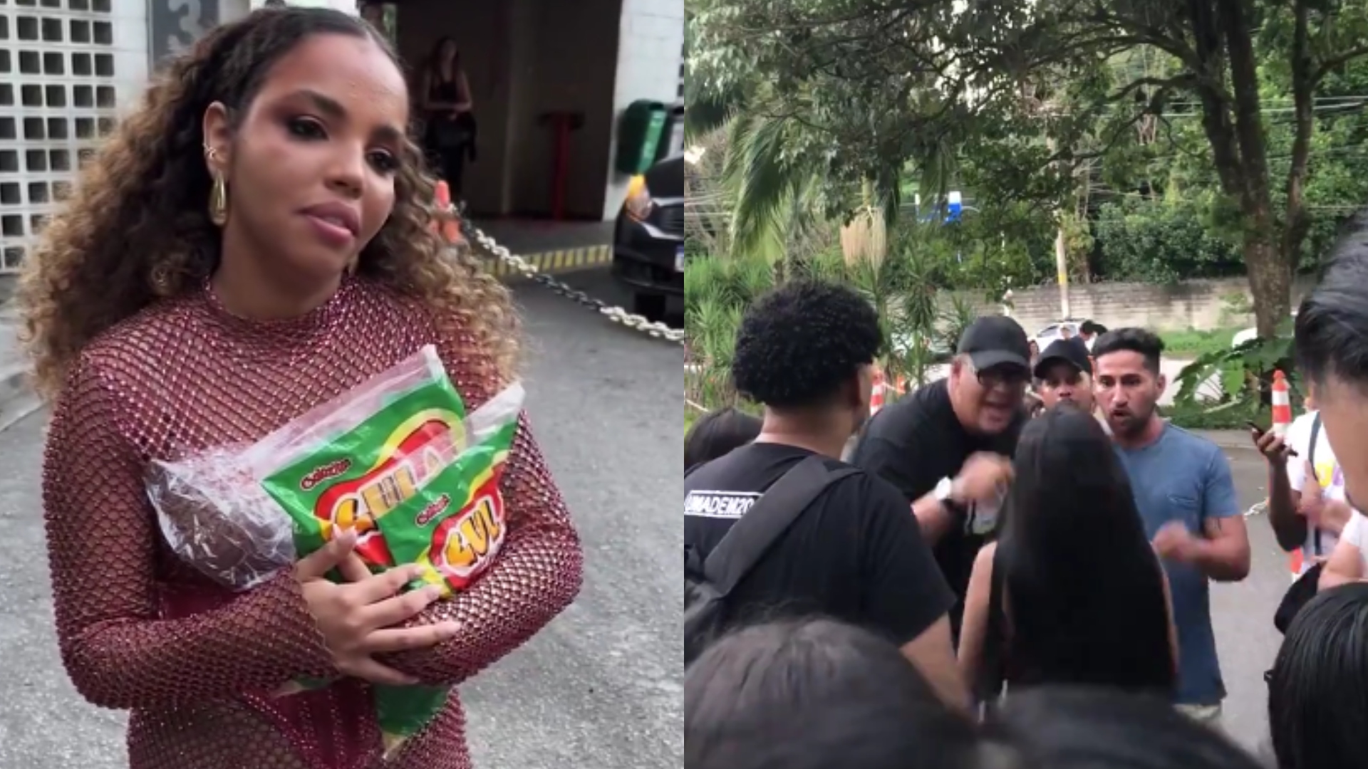 Por que os fãs de Davi e Pitel brigaram? Confusão se instaura após séria provocação