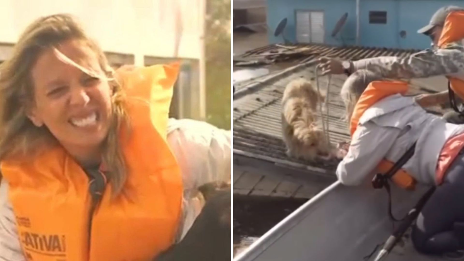 Luisa Mell sofre acidente grave durante resgate no RS: “Duas costelas quebradas”