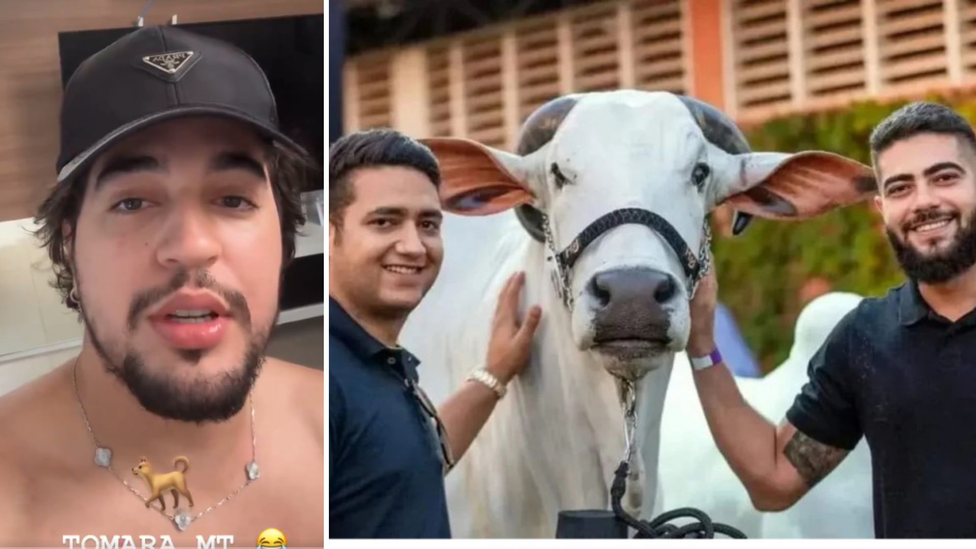 Nattan ameaça ‘roubar’ gado de Henrique e Juliano após ‘sequestro’ de cachorros
