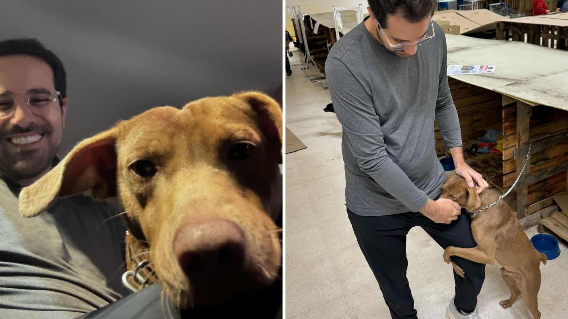 Repórter do SBT adota cachorro que o abraçou no Rio Grande do Sul: “Filho!”