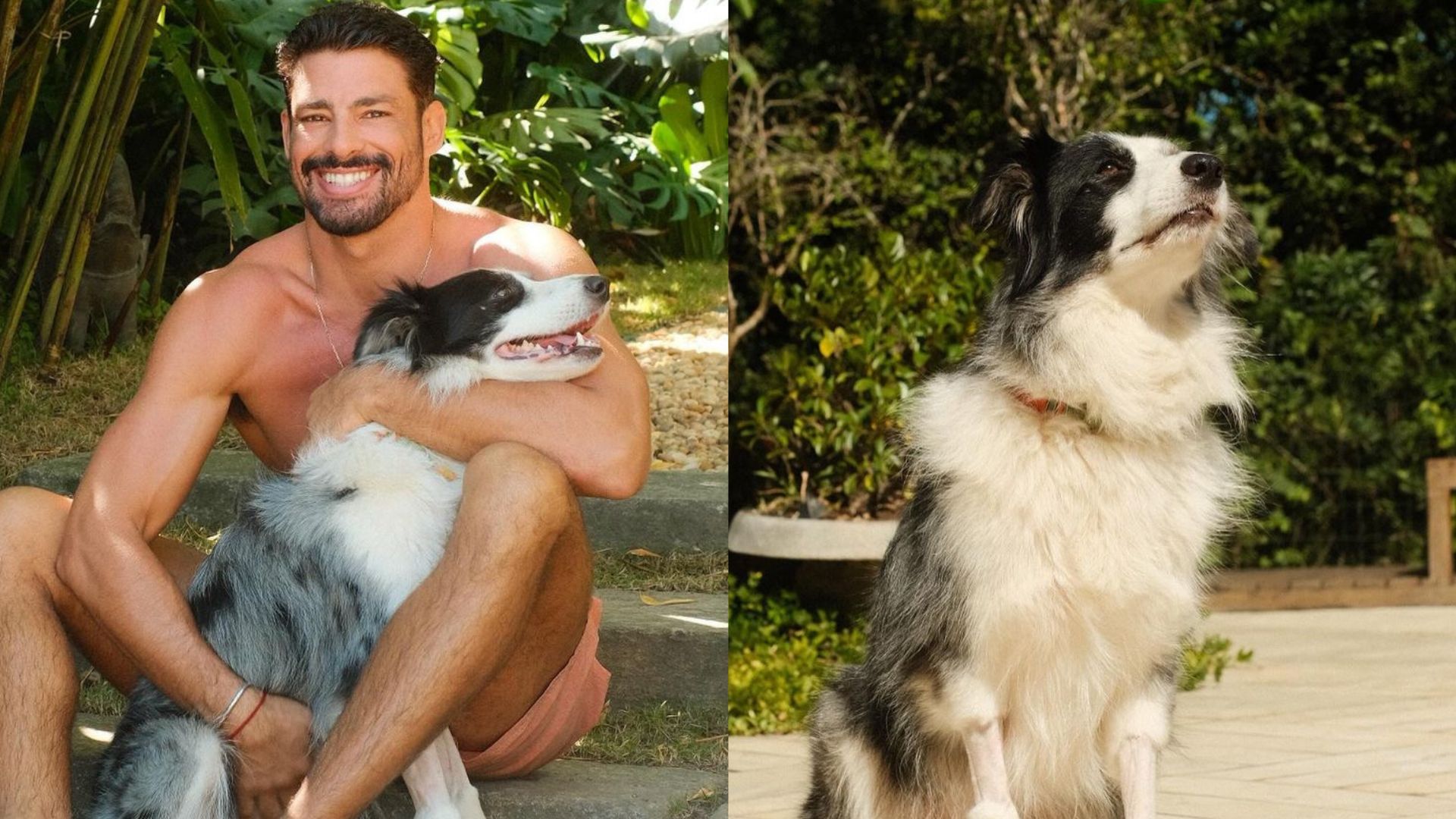 Cauã Reymond celebra alta hospitalar de sua cachorra após envenenamento