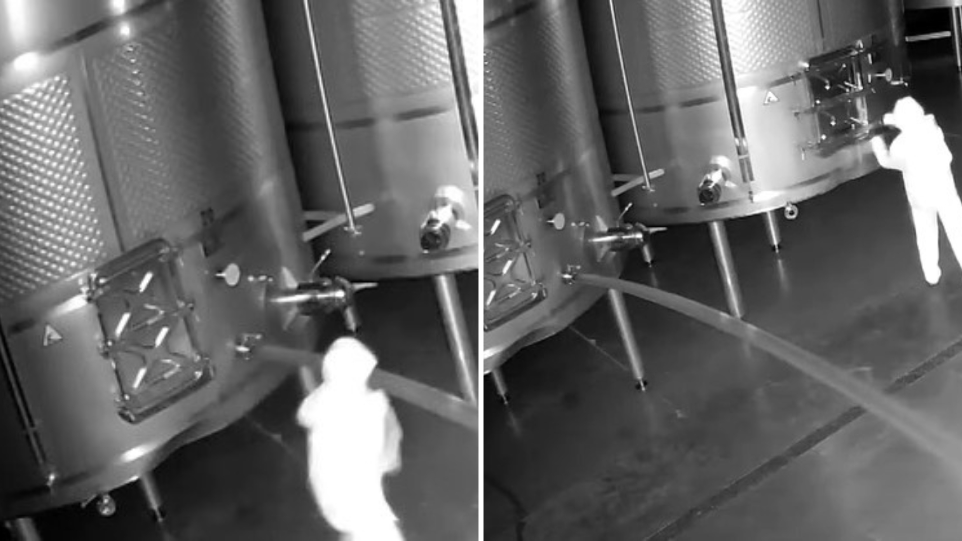 Mulher é presa acusada de abrir barril de vinho e provocar perda de 13 milhões