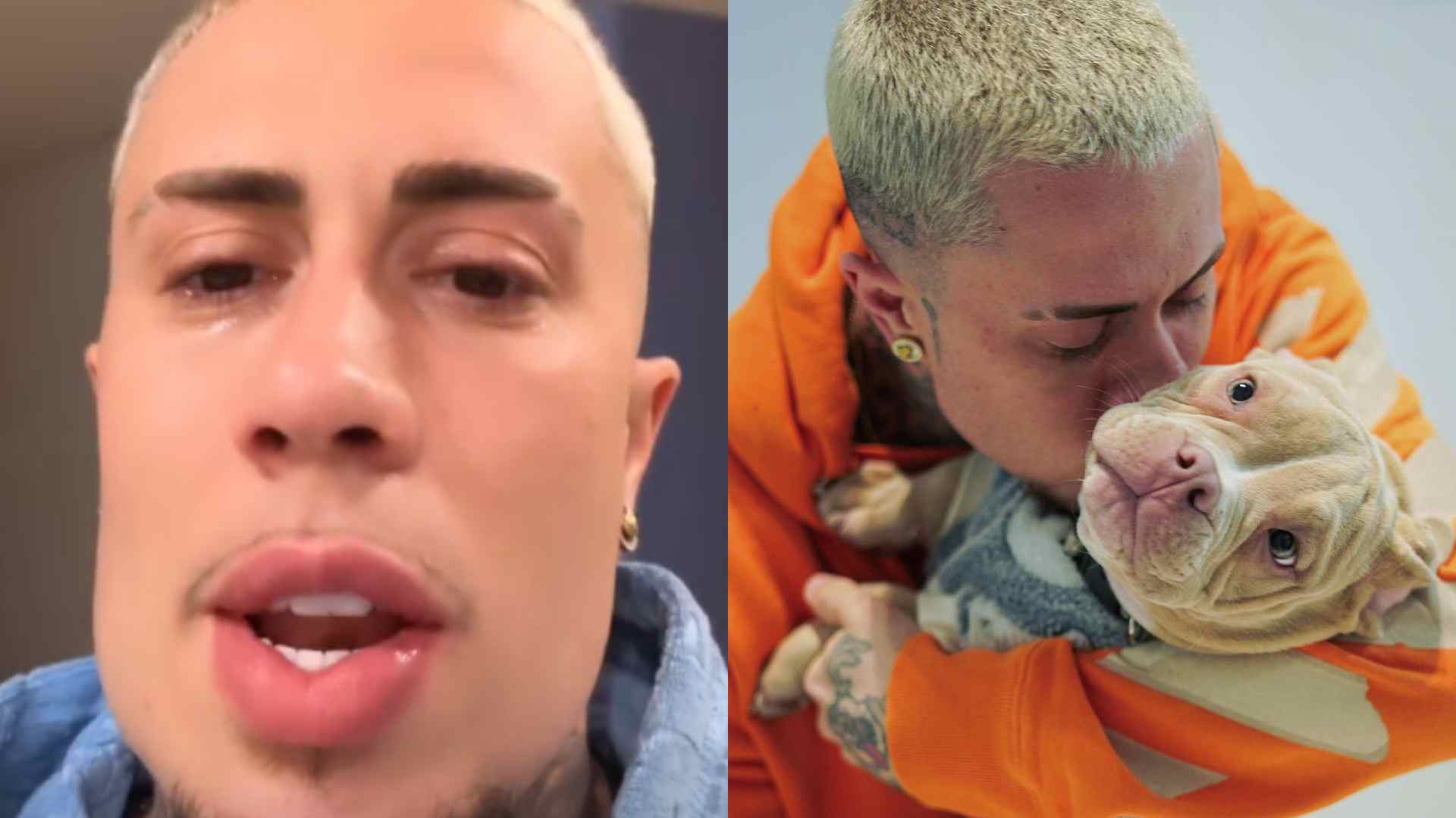 MC Daniel se revolta com ataques após trágica morte do cachorro: “Sem noção”