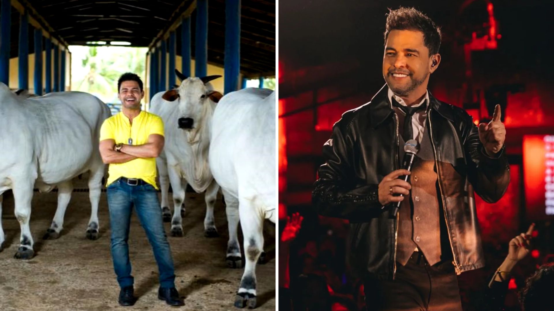Qual a fortuna de Zezé Di Camargo? Patrimônio do sertanejo vai além da música