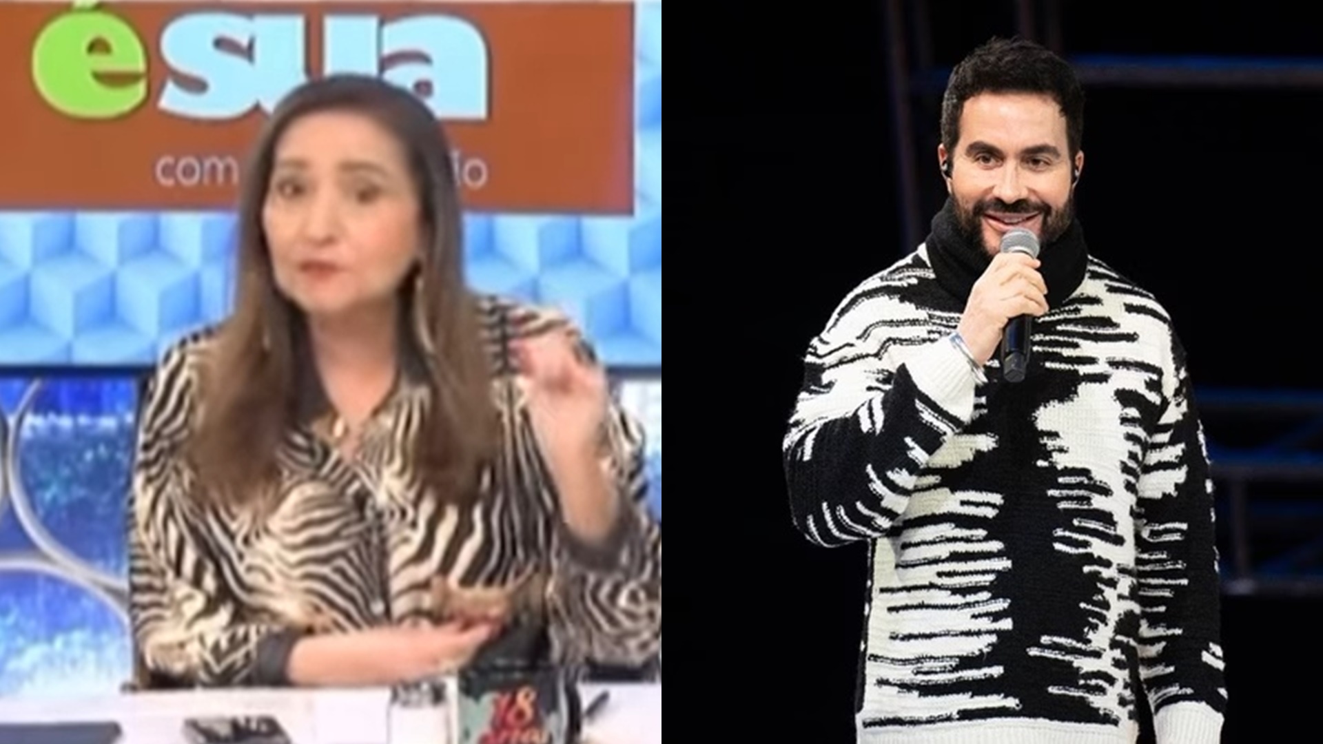 Sonia Abrão ataca fã que atirou garrafa no padre Fábio de Melo: “Tem que ter punição”