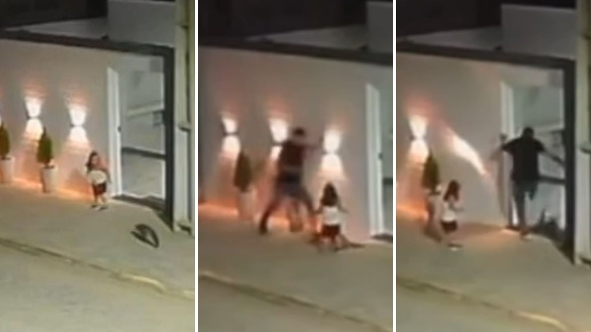 Criança é atacada por raposa, pai chuta animal e é massacrado: veja o que aconteceu