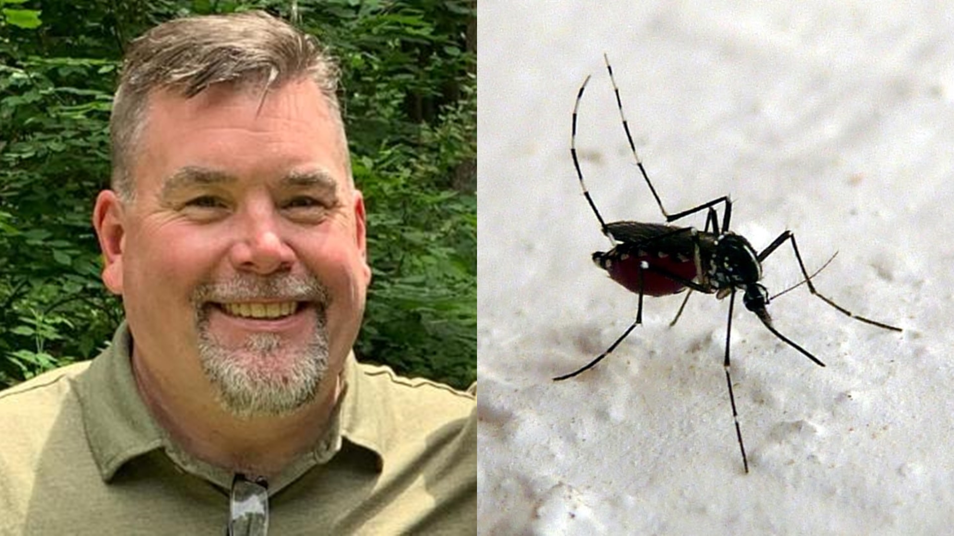Homem é diagnosticado com três vírus após picada de mosquito e fica sem falar