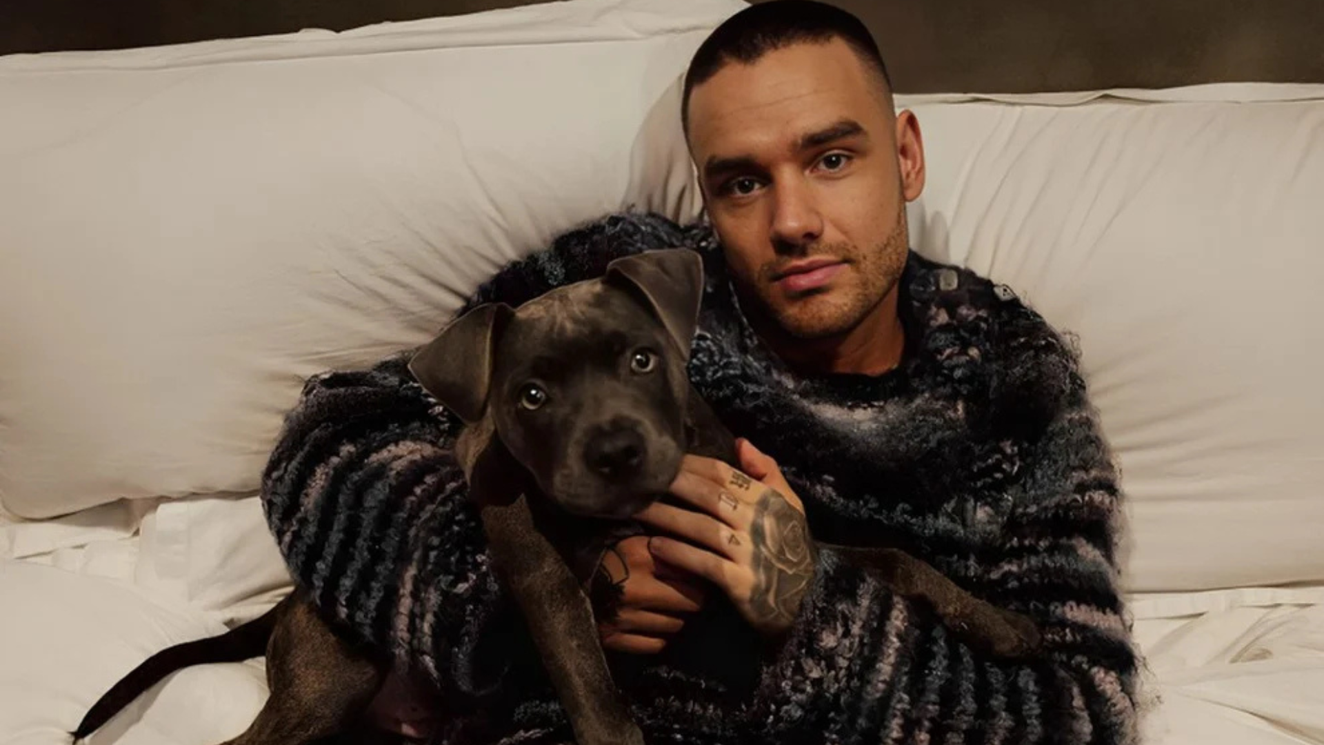 Liam Payne gravou reality para descobrir banda na Netflix antes de morrer