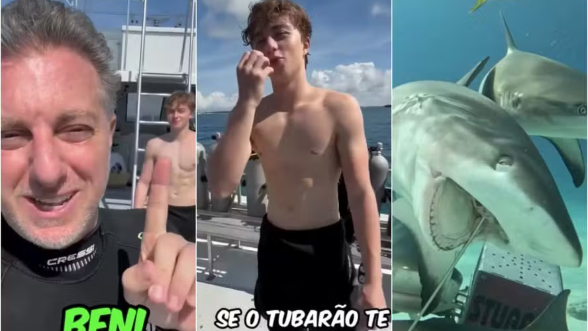 Luciano Huck mergulha com tubarões com o filho: ‘Angélica não vai gostar’