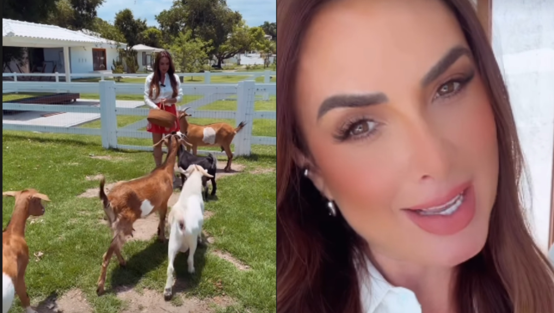 Por onde anda Nicole Bahls? Apresentadora vive em sítio e relata: ‘Acabou a polêmica’