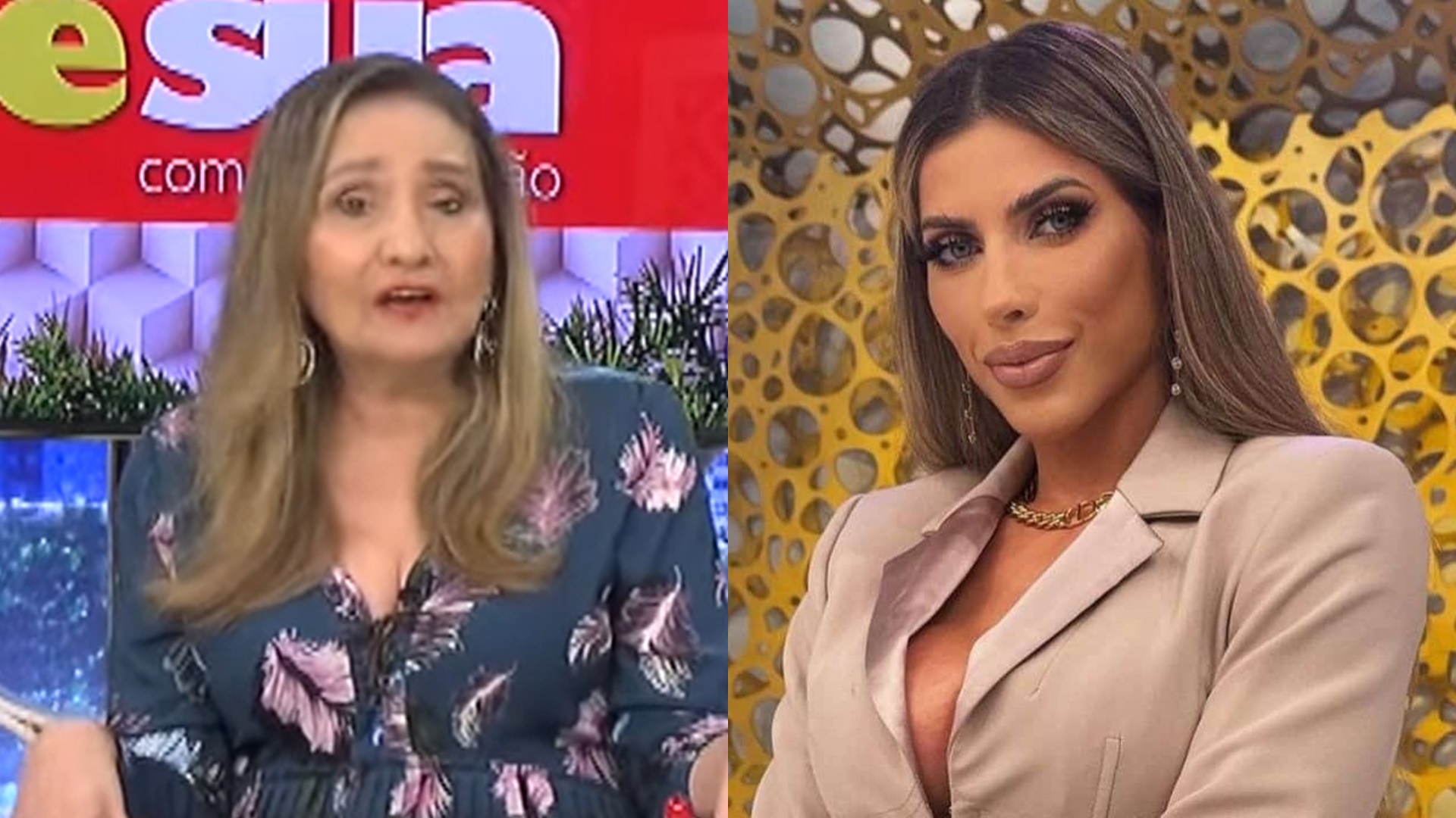 Sonia Abrão massacra Ana Paula Minerato após falas racistas: ‘Tem que sofrer’