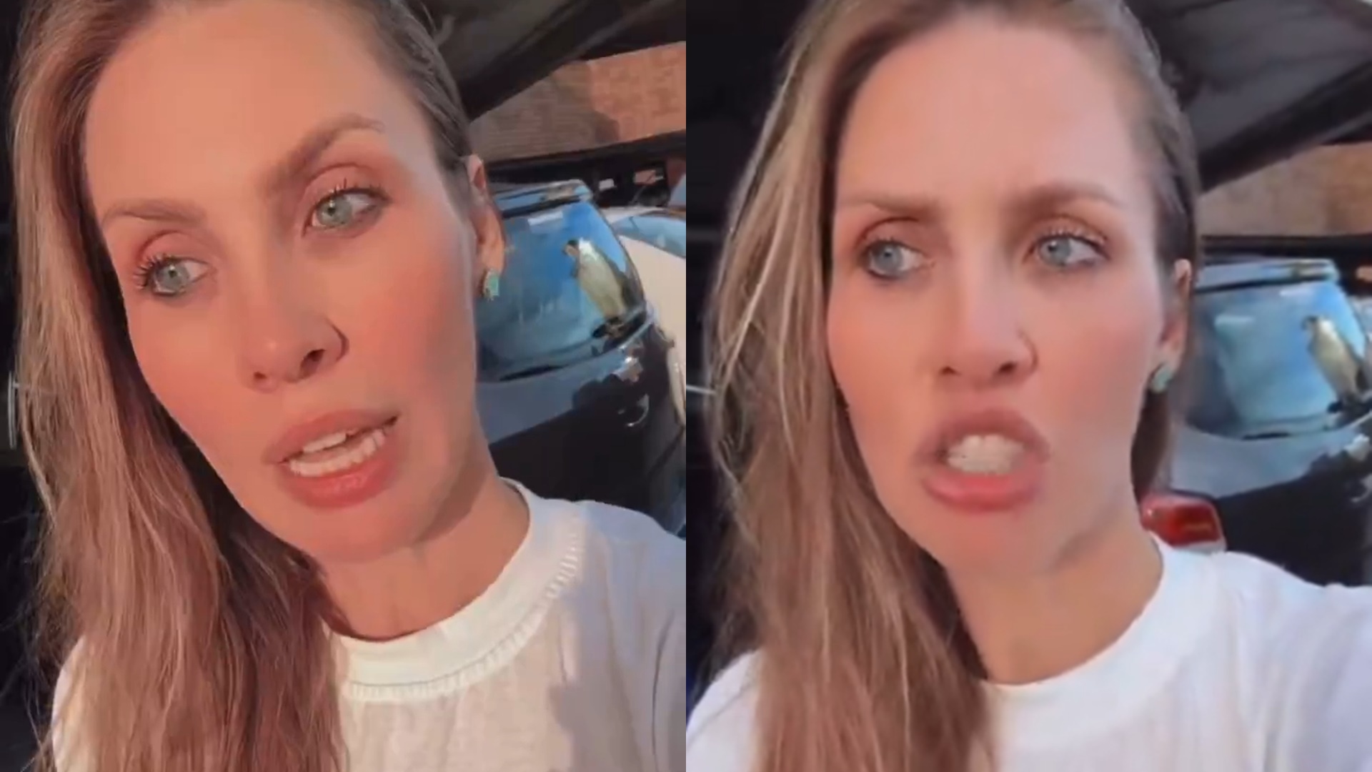 Ana Carolina Madeira se revolta ao ser ignorada em festa dos 25 anos do BBB: ‘Eu merecia’