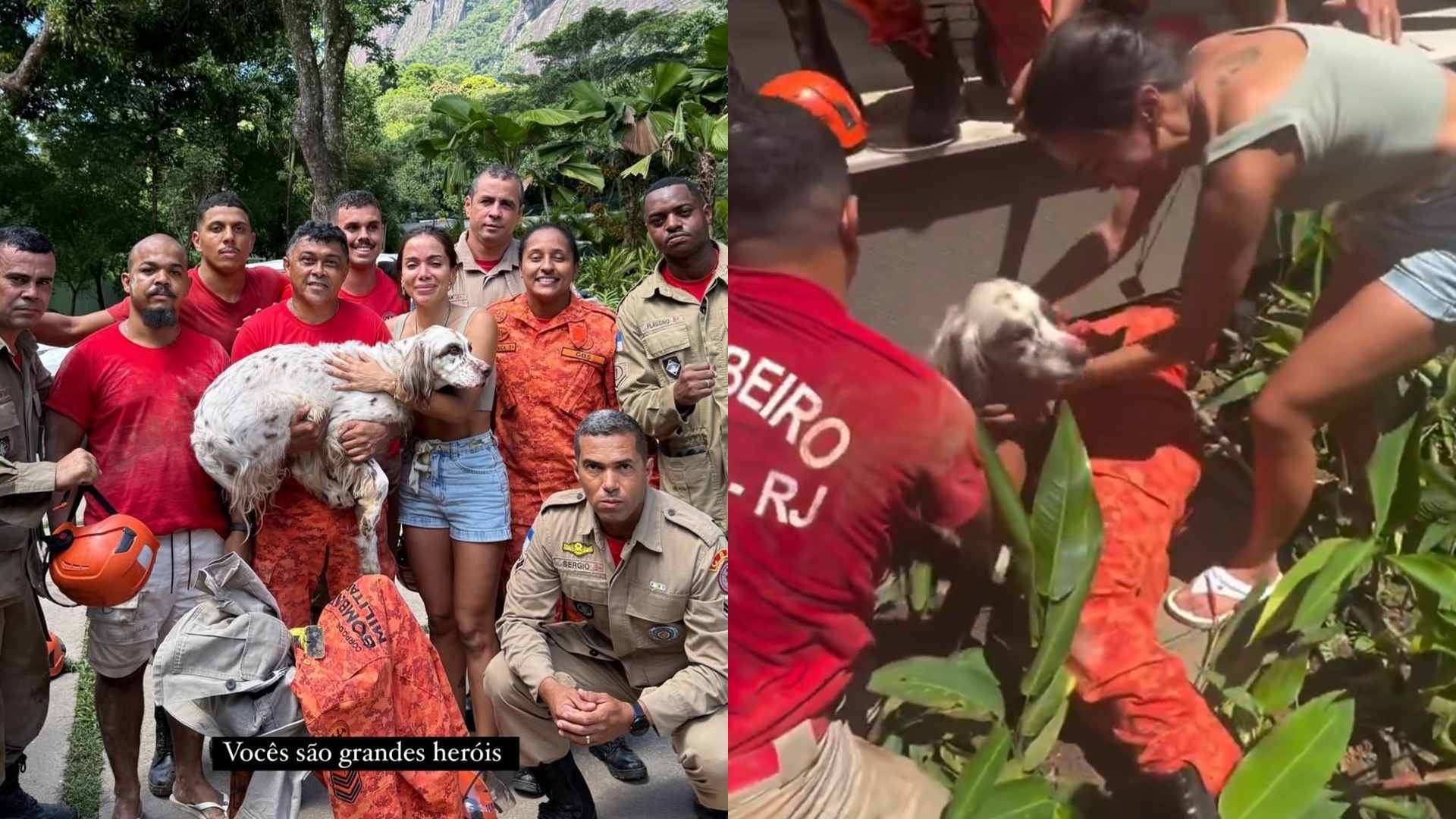 Anitta aciona Corpo de Bombeiros e resgata cachorro desaparecido no Natal: ‘São heróis’