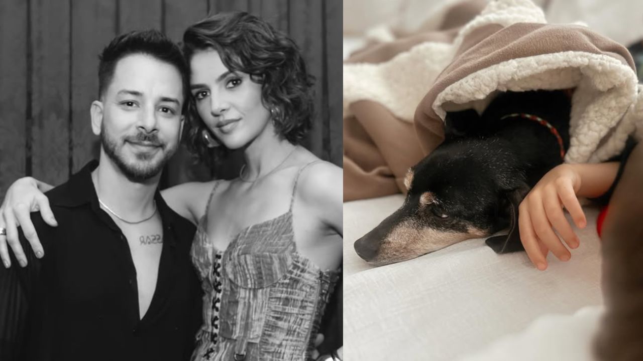 Junior Lima e esposa lamentam perda: ‘Nossa parceirinha nos deixou’
