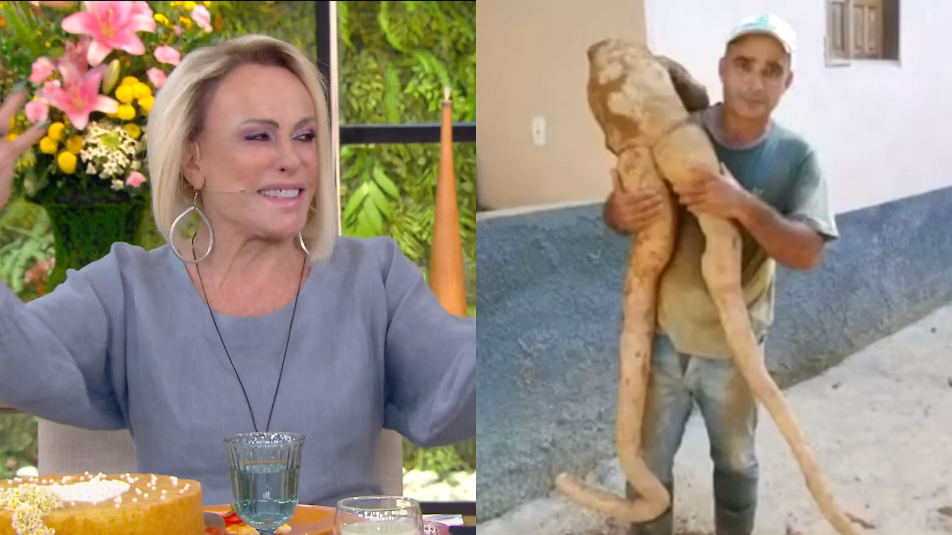 Ana Maria Braga tem crise de riso com tia que vibrou ao virar viúva e mandioca gigante