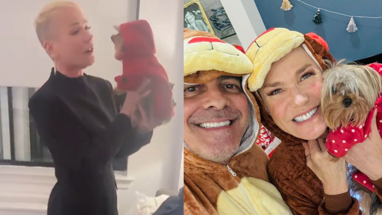 Xuxa dá detalhes de projeto na Globo sobre adoção de animais: ‘Tirar o preconceito’