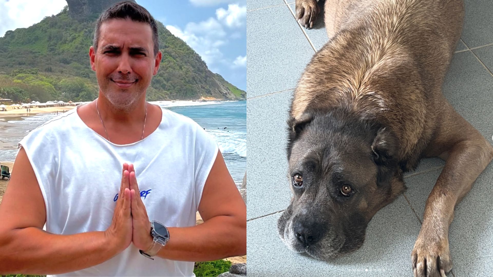 André Marques lamenta perda de sua cachorra Thora após 11 anos: ‘Obrigado por tanto’