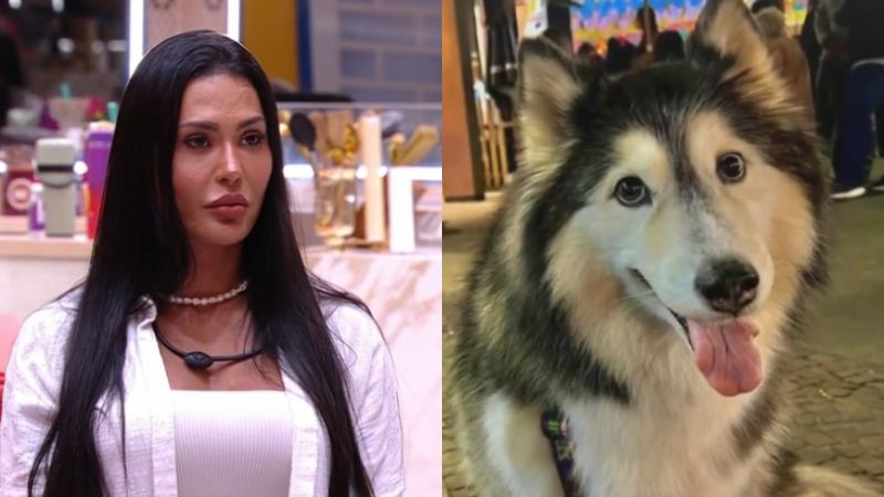 Confinada no BBB 25, Gracyanne não sabe do desaparecimento de sua cachorra: ‘Ajuda’