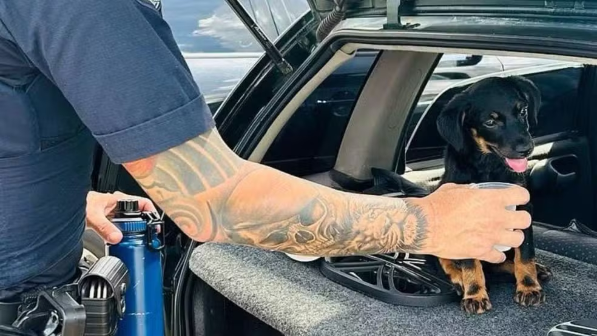 Homem é preso em flagrante após abandonar filhote de cachorro em carro fechado