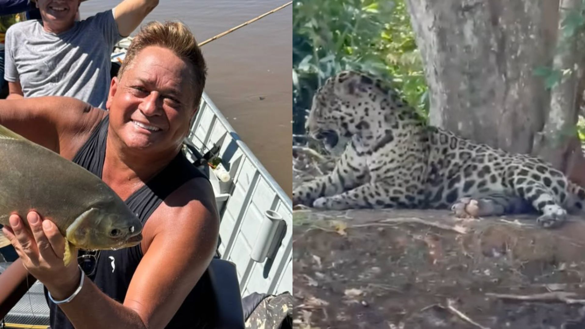 Leonardo dá de cara com onça-pintada em viagem ao Pantanal: ‘Oi linda’
