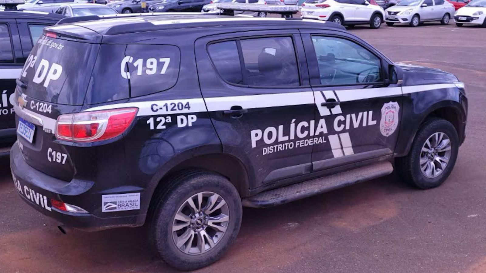 Homem tenta matar namorada e solta dois pit bulls em cima da vítima