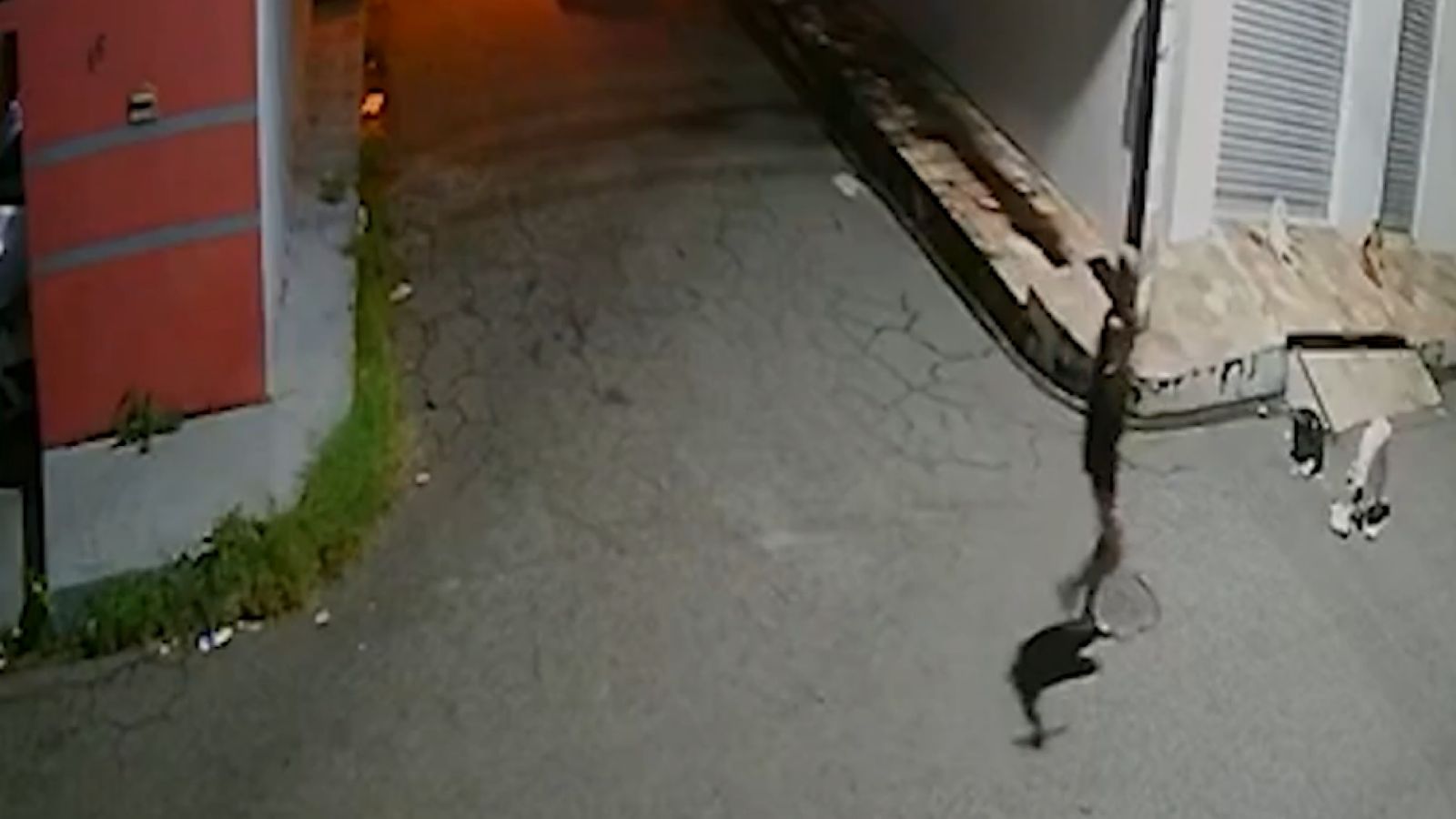 Homem é procurado pela polícia após agredir violentamente cachorros de rua