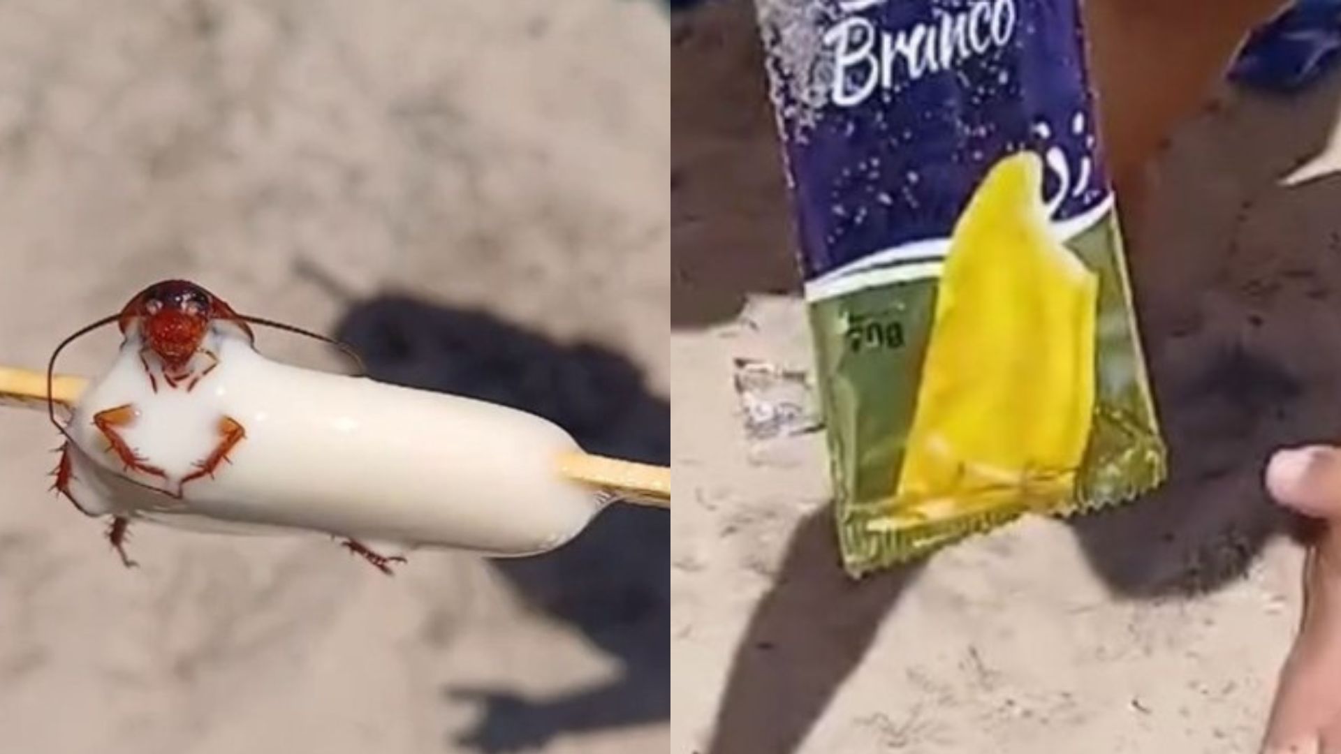 Que nojo! Barata é encontrada no meio de picolé em praia do Rio; veja o vídeo