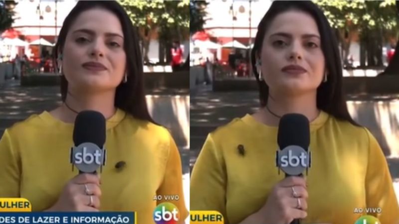 Barata pousa em repórter ao vivo e vídeo do momento viraliza; assista!
