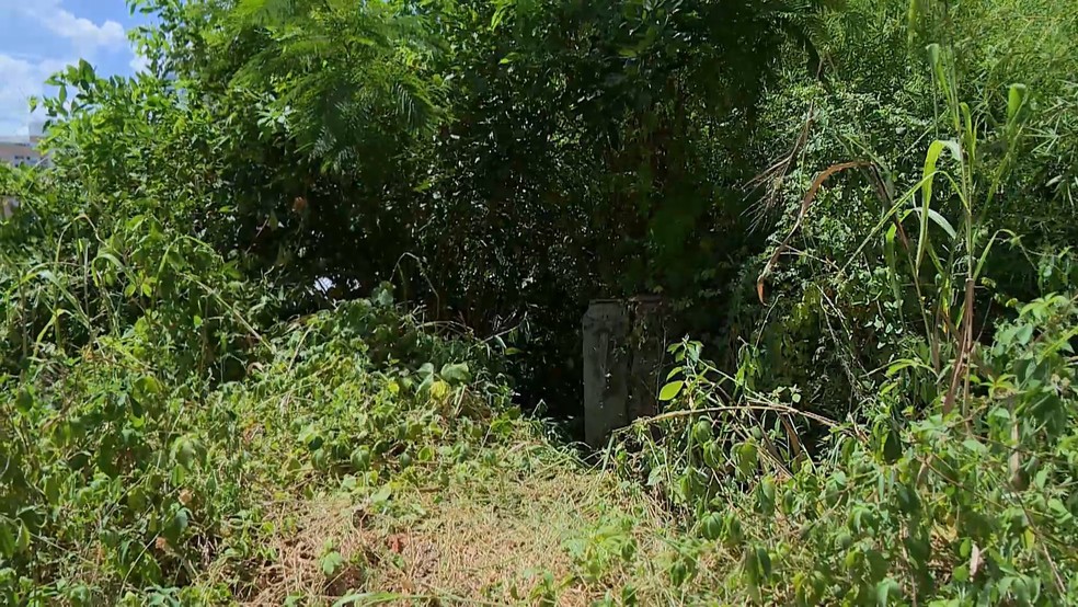 Aposentado é encontrado dentro de buraco após três dias desaparecido
