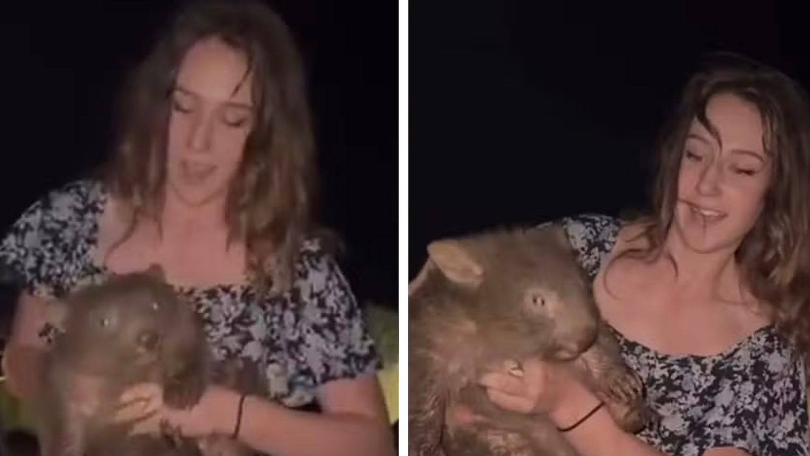 Influenciadora americana afasta filhote de animal selvagem da mãe para ganhar likes