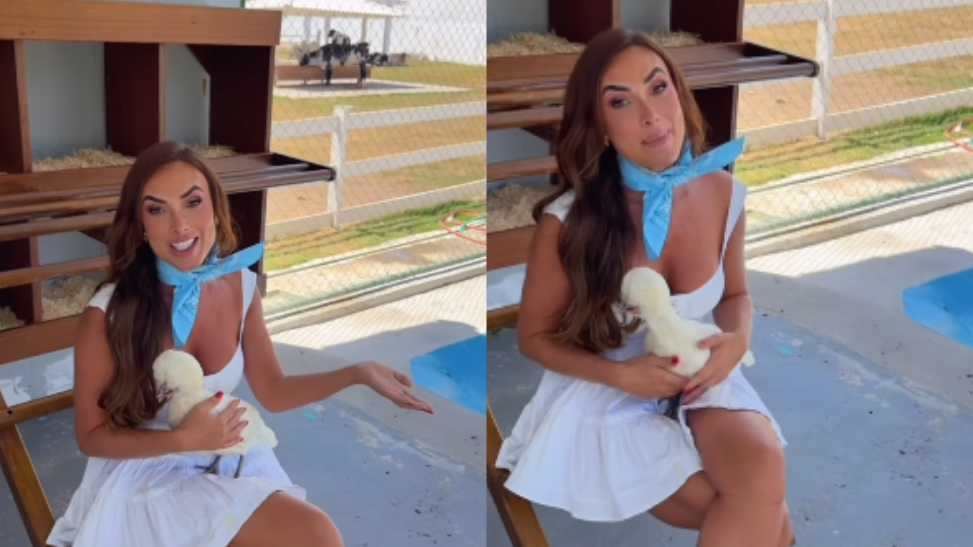 Nicole Bahls batiza galinhas com os nomes de Lore Improta e Patrícia Poeta