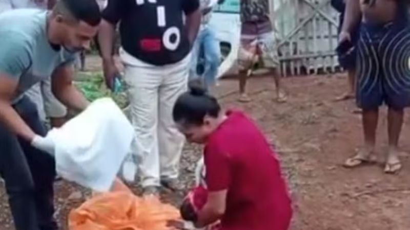 Chocante! Recém-nascido é atacado por cães após ser abandonado por avós; saiba mais