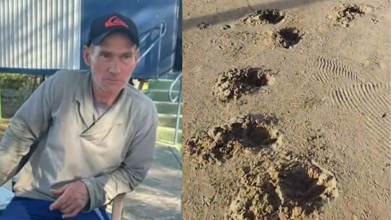 Homem é devorado por onça no Pantanal; partes do corpo são encontradas em toca