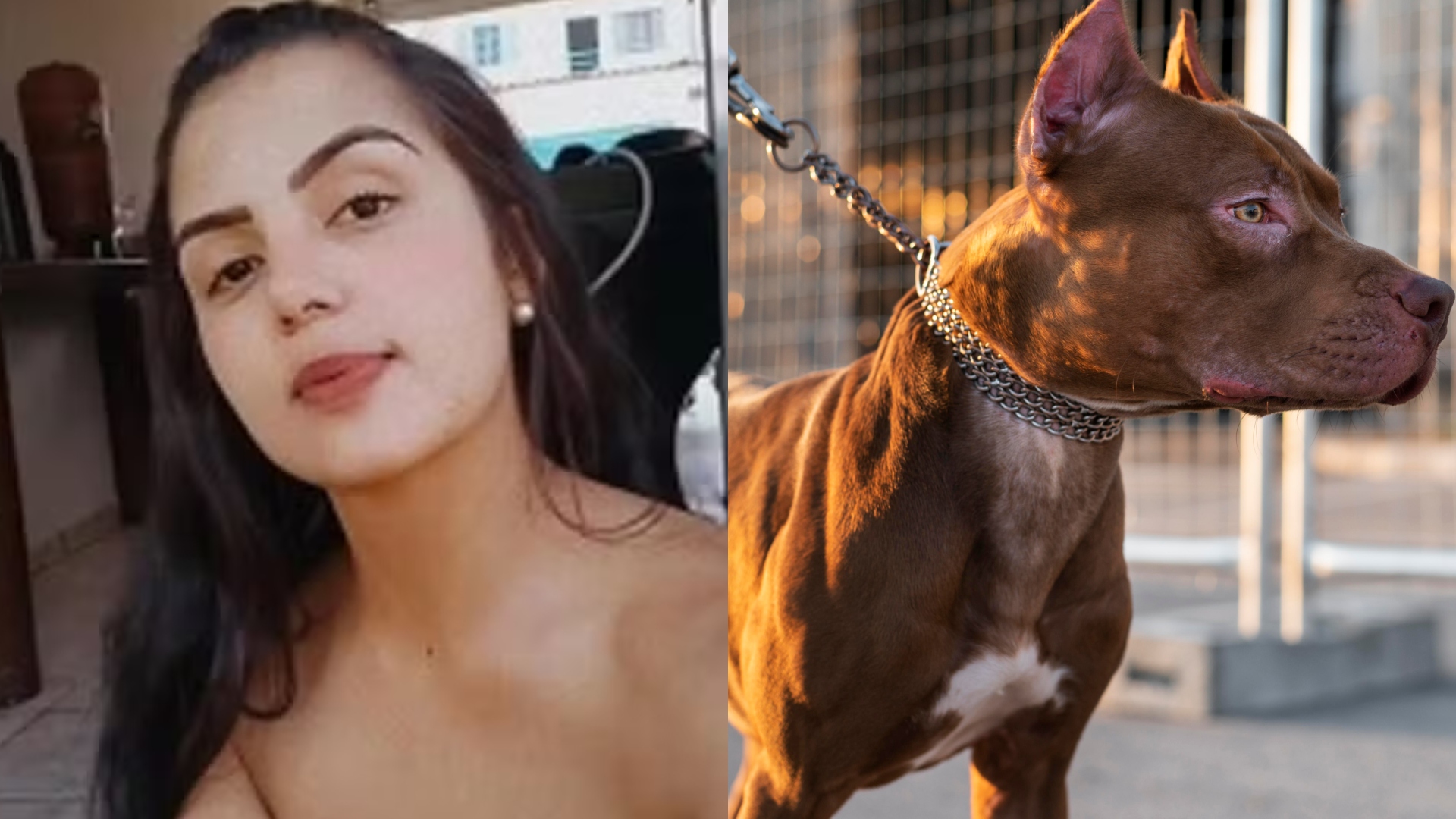 Mulher de 31 anos é morta pelo próprio cachorro após ataques violentos