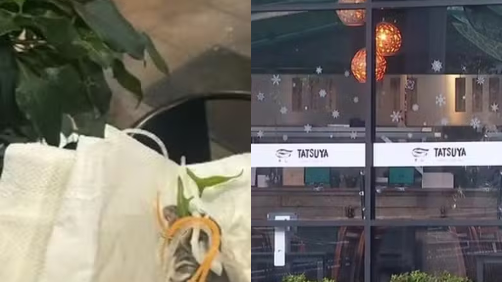 Mulher grávida encontra rato morto em comida de restaurante: ‘Tinha comido metade’