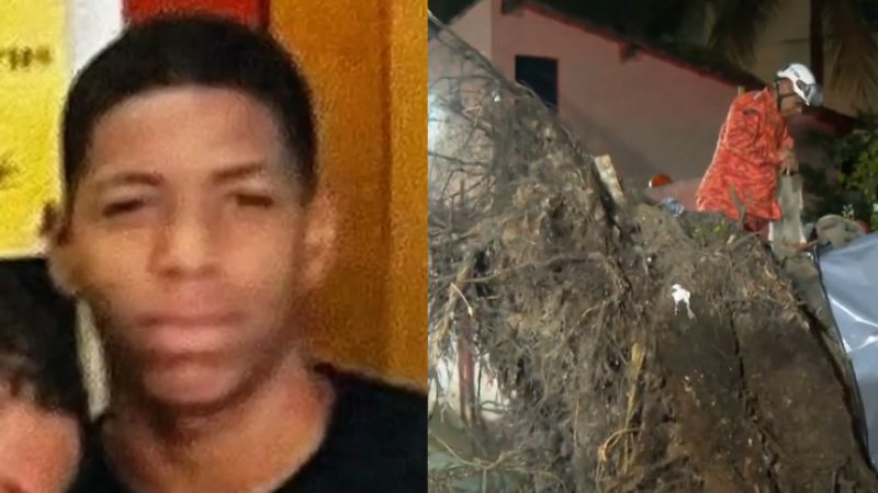 Tragédia! Adolescente morre ao ser atingido por árvore no caminho da escola