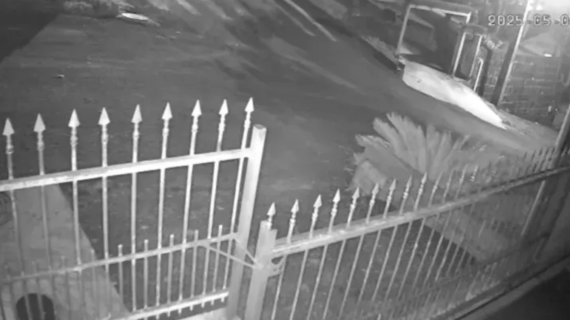 Imagens fortes! Criança de 6 anos morre após bibicleta bater em muro; veja