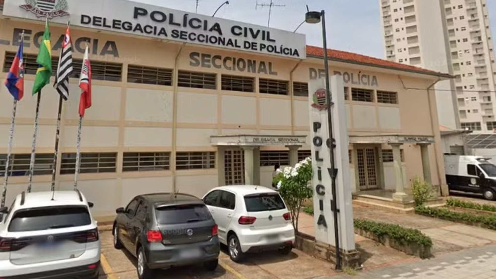 Menina de 3 anos é resgatada em casa ao lado do corpo em decomposição da mãe em SP
