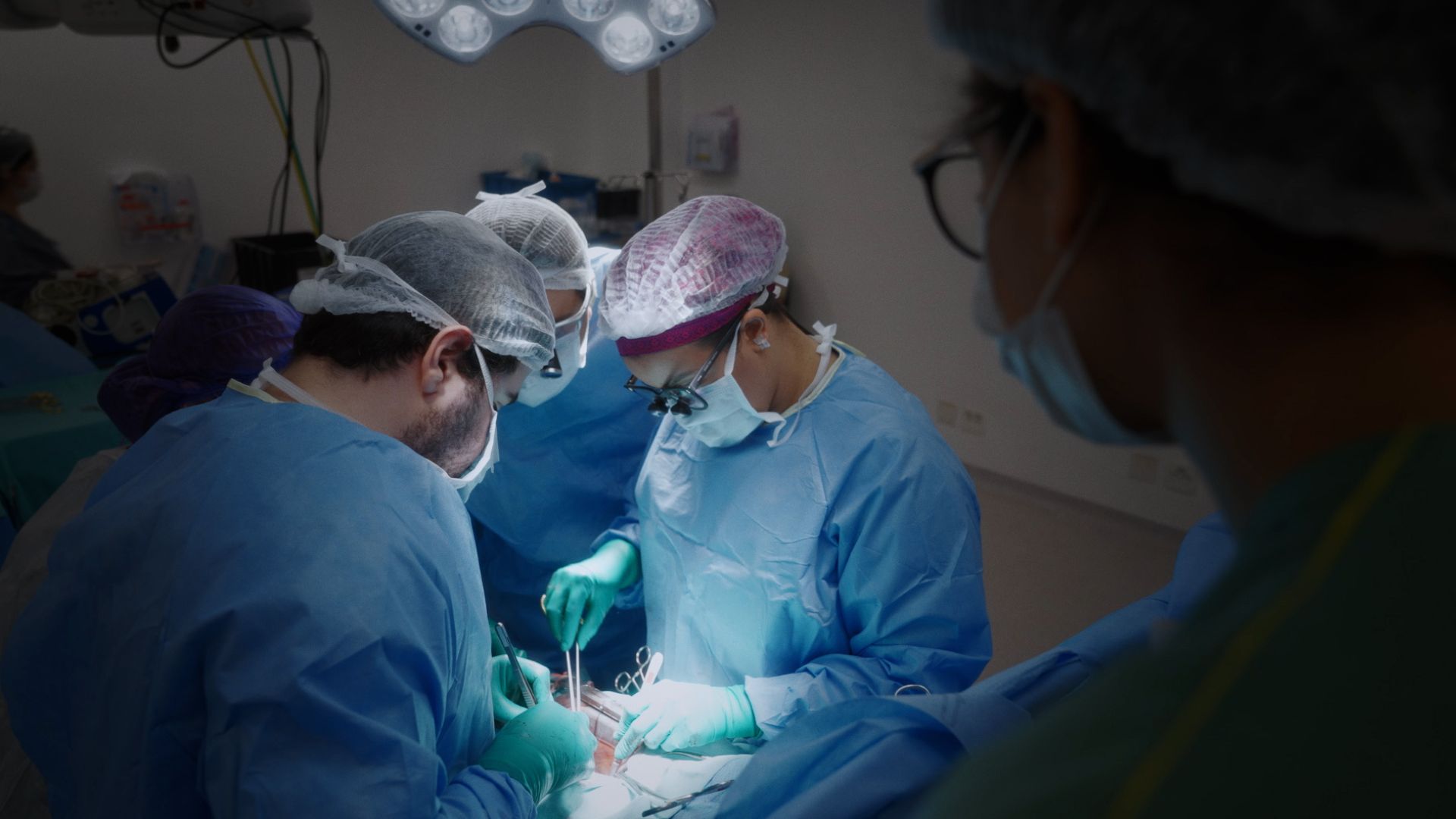 Operação Transplante: cinco fatos da doação de órgãos que vão te deixar impactado