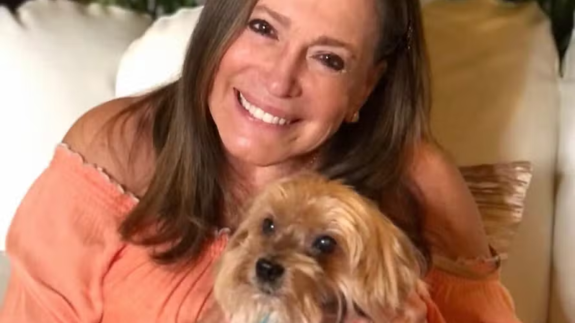 Susana Vieira chora a morte do cachorro: ‘Amor da minha vida’