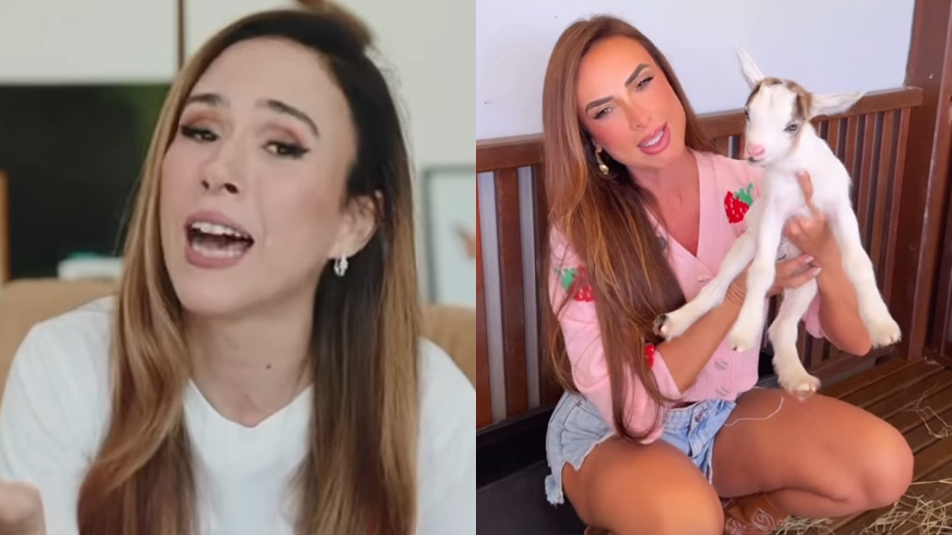 Tata Werneck reage após mini cabra de Nicole Bahls ser batizada com seu nome: ‘Me deixa’
