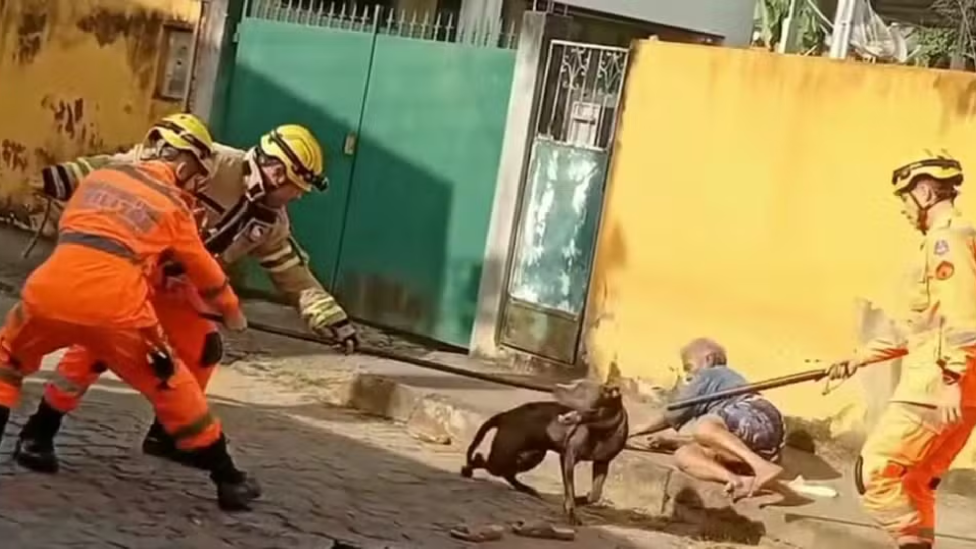 Vídeo: Idosa é mordida por pitibull e fica segurando as patas do cachorro até a chegada dos bombeiros