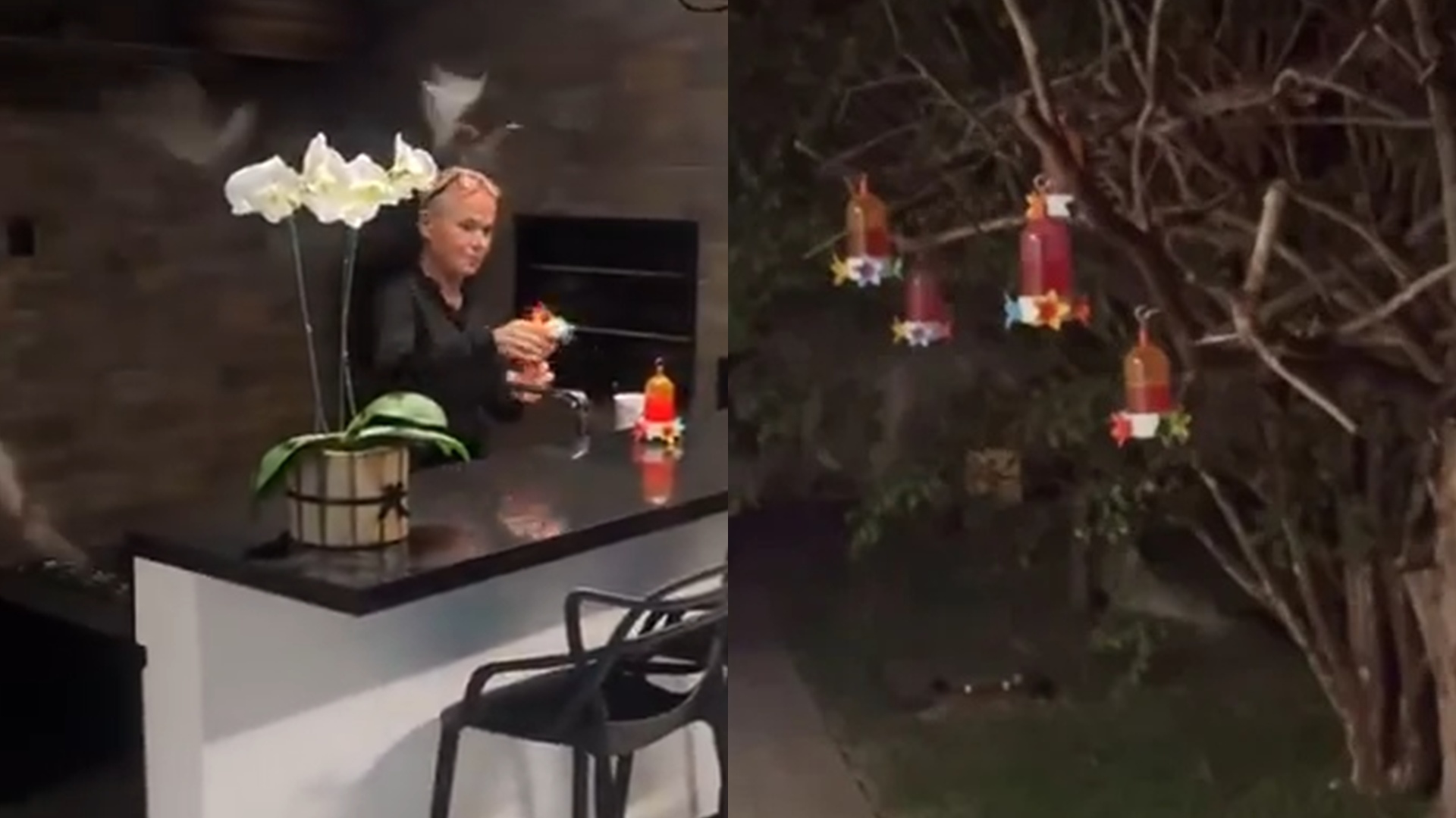 Xuxa Meneghel é detonada por exibir criação de morcegos em casa: ‘Ficou maluca’