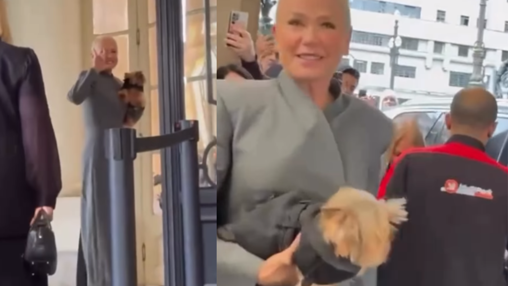 Cachorro de Xuxa vai em desfile de moda e web dispara: ‘Mais rico que nós’